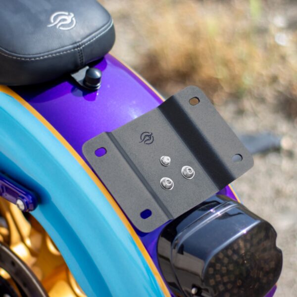 Sportster - Vanguard - Yatık Plakalık - Görsel 4